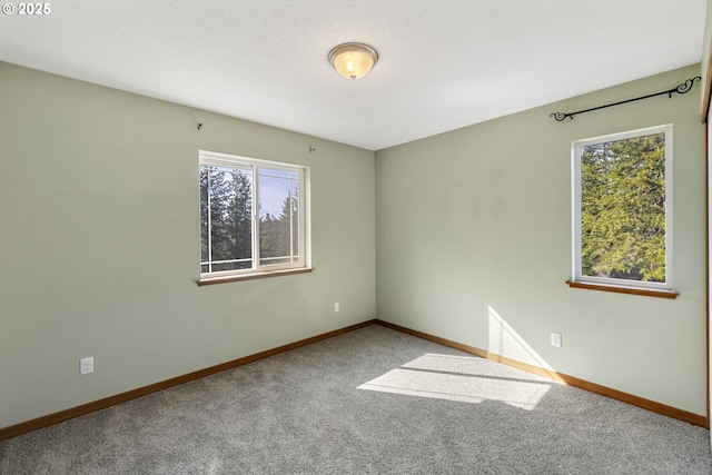 20 Silva Cutoff Rd, Lyle, WA 98635 - empty room featuring baseboards, carpet flooring, and plenty of natural light