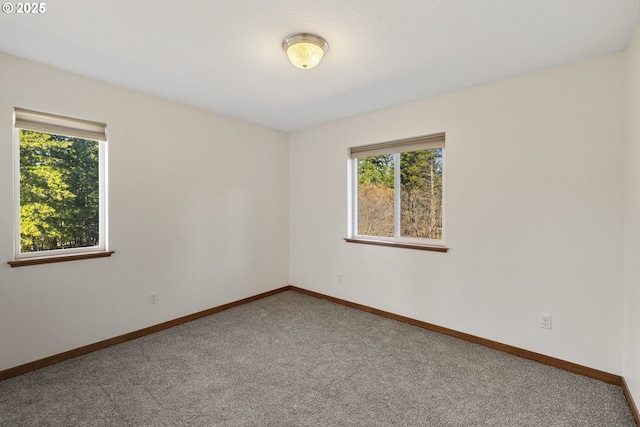 20 Silva Cutoff Rd, Lyle, WA 98635 - spare room featuring baseboards and carpet flooring