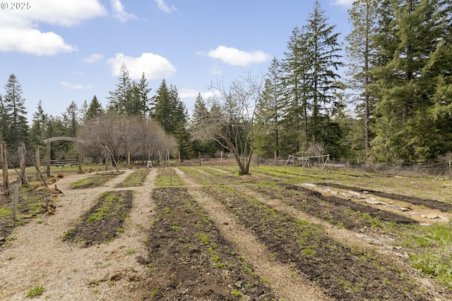 20 Silva Cutoff Rd, Lyle, WA 98635 - view of street