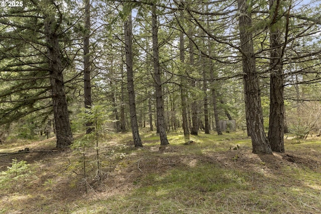 20 Silva Cutoff Rd, Lyle, WA 98635 - view of landscape featuring a wooded view