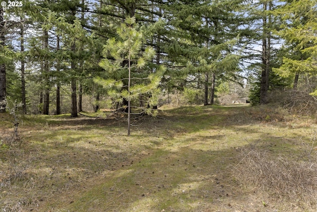20 Silva Cutoff Rd, Lyle, WA 98635 - view of nature featuring a forest view