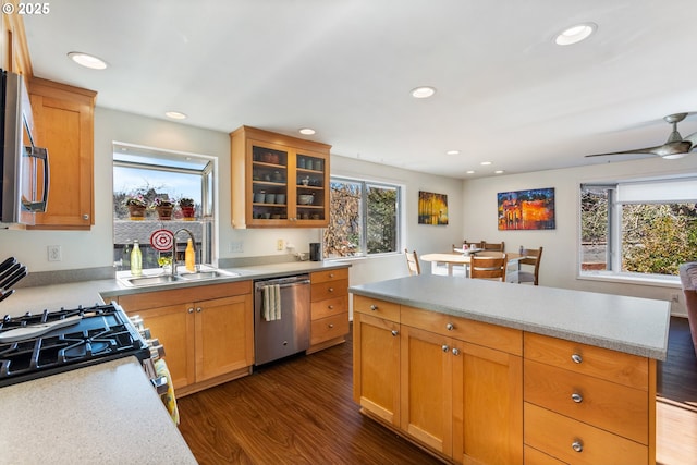 kitchen featuring a sink, dark wood-type flooring, appliances with stainless steel finishes, and a wealth of natural light