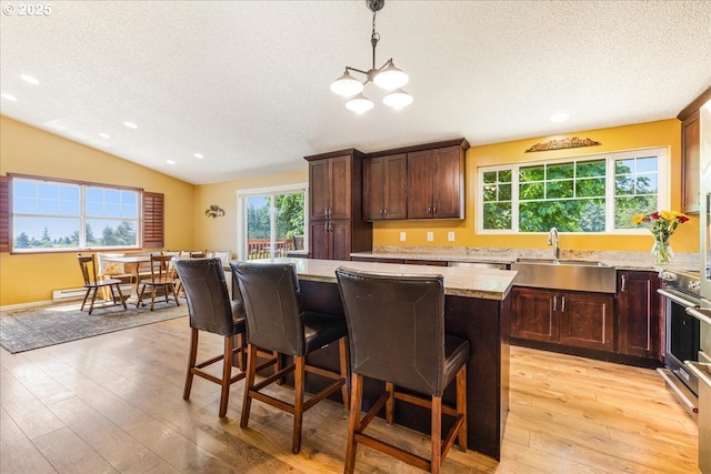 18203 S Windy City Rd, Mulino, OR 97042 - kitchen featuring light wood finished floors, a sink, a textured ceiling, a kitchen breakfast bar, and lofted ceiling
