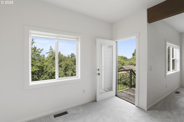 175 SW 85th Ave, Portland, OR 97225 - entryway with plenty of natural light and carpet