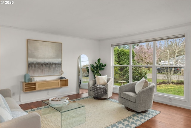 living room with wood finished floors, baseboards, and a wealth of natural light