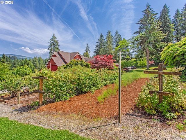 21800 S Green Mountain Rd, Colton, OR 97017 - view of yard