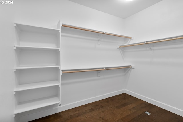 spacious closet with hardwood / wood-style floors