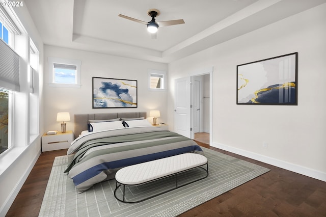 bedroom featuring a raised ceiling, ceiling fan, and dark hardwood / wood-style flooring