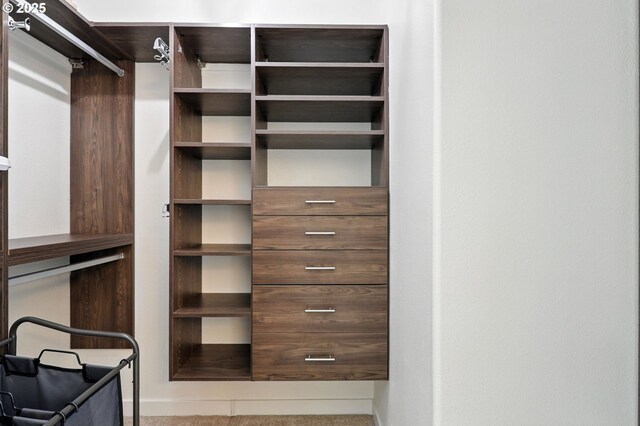 18 NE Cook St, Portland, OR 97212 - view of walk in closet