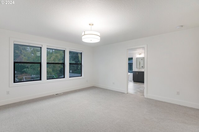 empty room featuring light carpet, a textured ceiling, and baseboards