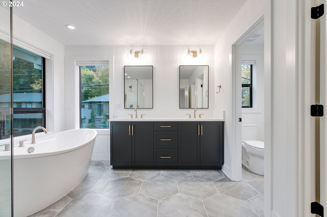 bathroom featuring a healthy amount of sunlight, a sink, a freestanding bath, and double vanity