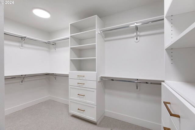 spacious closet with light carpet