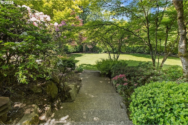 1890 S Greenwood Rd, Portland, OR 97219 - view of green lawn