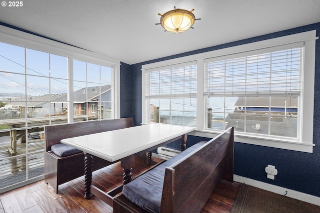 dining area featuring wood finished floors and a healthy amount of sunlight