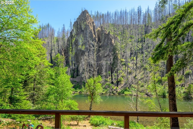 49348 Mckenzie Hwy, Vida, OR 97488 - water view featuring a heavily wooded area