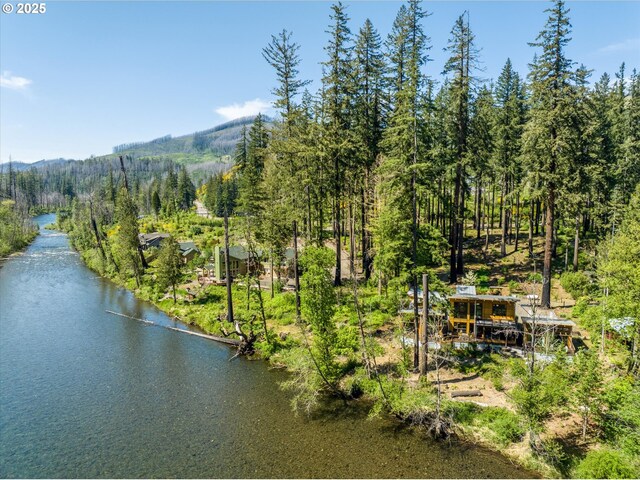 49348 Mckenzie Hwy, Vida, OR 97488 - aerial view of a heavily wooded area and a water and mountain view