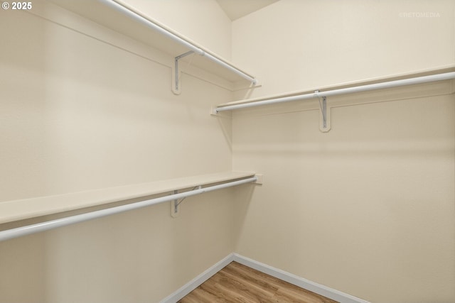 31070 NW Kaybern St, North Plains, OR 97133 - walk in closet featuring light wood-style flooring