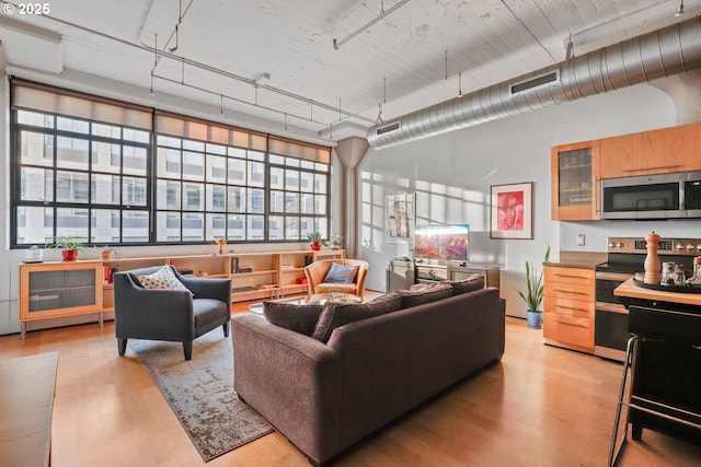 living room with light wood-type flooring and rail lighting