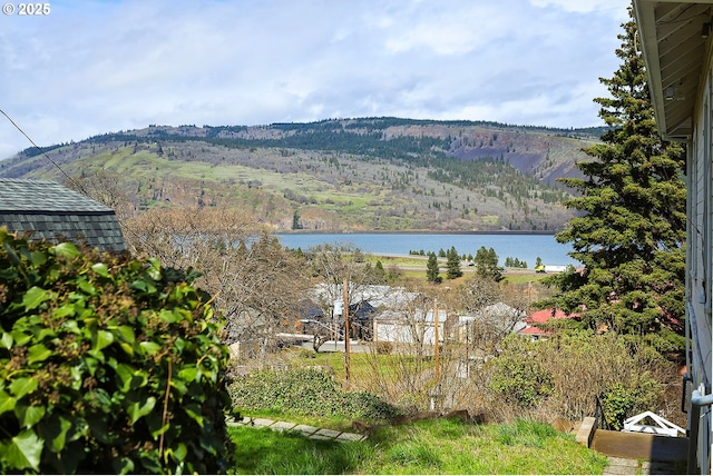 1006 4th Ave, Mosier, OR 97040 - water view