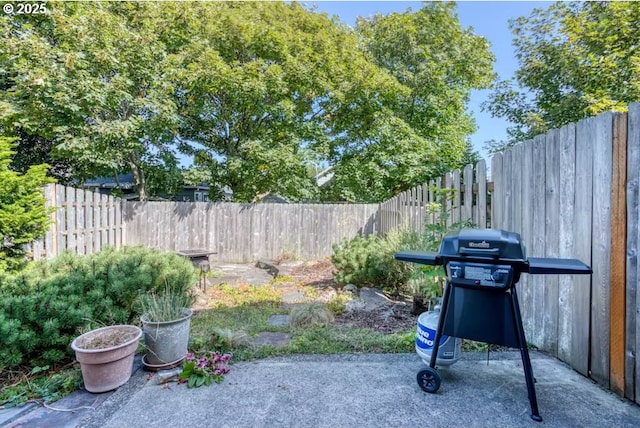 view of patio featuring area for grilling