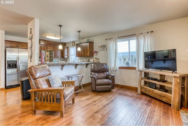 living room featuring light hardwood / wood-style flooring