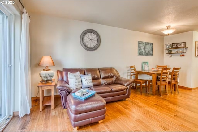 living room featuring wood-type flooring