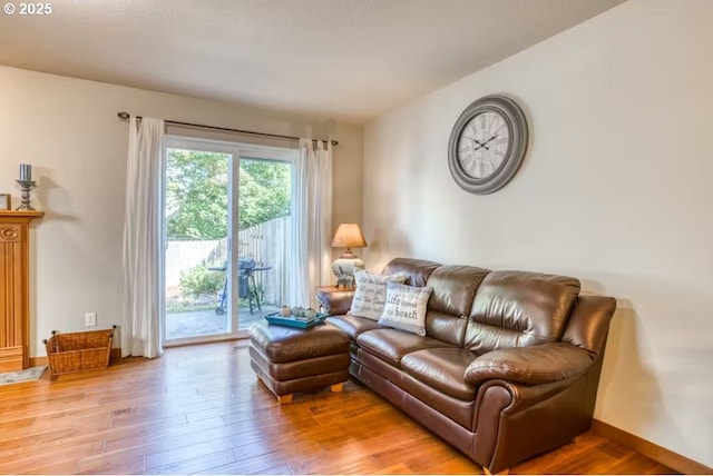 living room with hardwood / wood-style floors