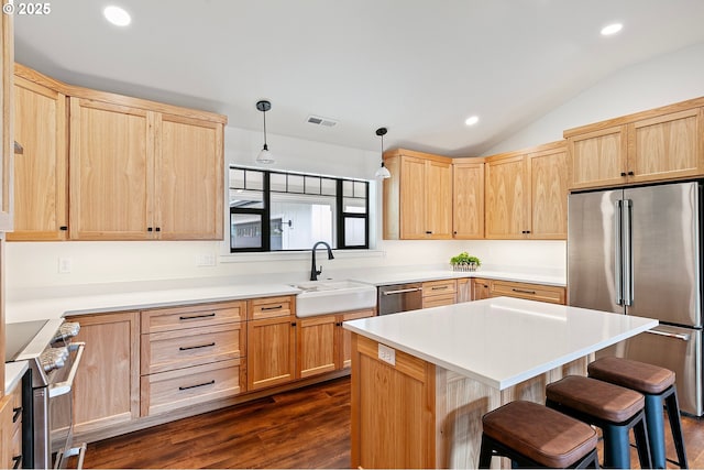 kitchen with pendant lighting, dark hardwood / wood-style flooring, sink, lofted ceiling, and stainless steel appliances