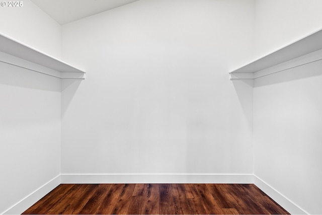 spacious closet featuring dark hardwood / wood-style floors