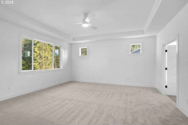 empty room featuring a wealth of natural light, a raised ceiling, and light colored carpet