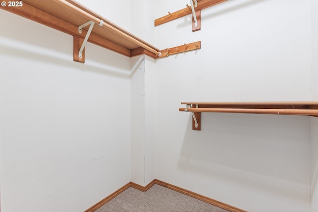 1705 SW 24th Dr, Gresham, OR 97080 - walk in closet featuring carpet floors
