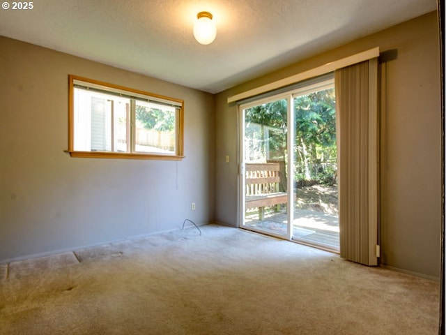 unfurnished room with carpet and a textured ceiling