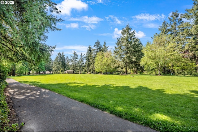 exterior space with a yard