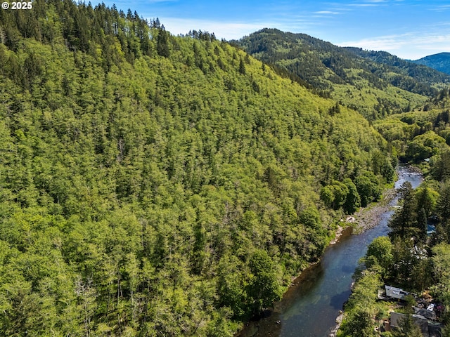25050 Wilson River Hwy, Tillamook, OR 97141 - bird's eye view of a mountain backdrop and a heavily wooded area