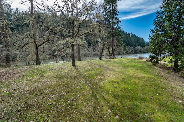 view of yard featuring a forest view and a water view