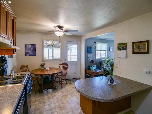 154 N 5th St, Saint Helens, OR 97051 - kitchen with electric range, brown cabinetry, under cabinet range hood, ceiling fan, and a peninsula