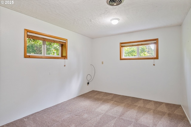 112 Paine Rd, Castle Rock, WA 98611 - carpeted empty room featuring healthy amount of natural light and a textured ceiling