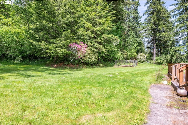 112 Paine Rd, Castle Rock, WA 98611 - view of green lawn