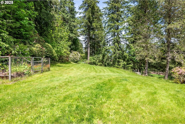 112 Paine Rd, Castle Rock, WA 98611 - view of yard featuring a view of trees