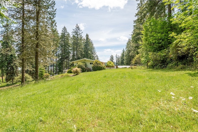 112 Paine Rd, Castle Rock, WA 98611 - view of yard