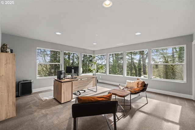 2193 NE 3rd Ave, Camas, WA 98607 - office area with light carpet, recessed lighting, and a textured ceiling