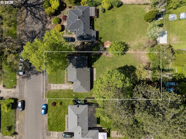 drone / aerial view