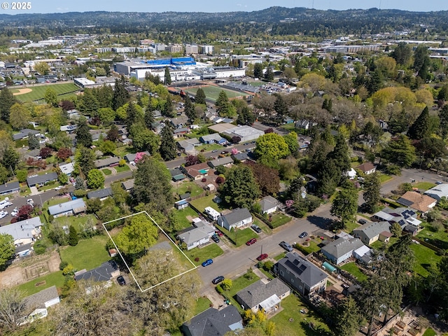 bird's eye view