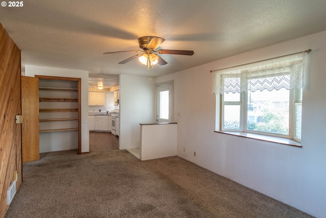 spare room featuring carpet flooring, a ceiling fan, and a textured ceiling