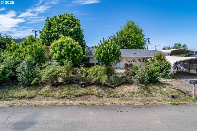 view of property hidden behind natural elements with a carport and roof with shingles