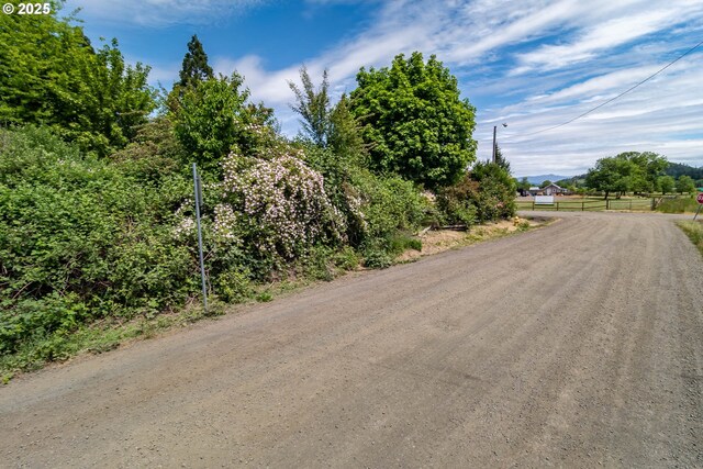 view of dirt / gravel road