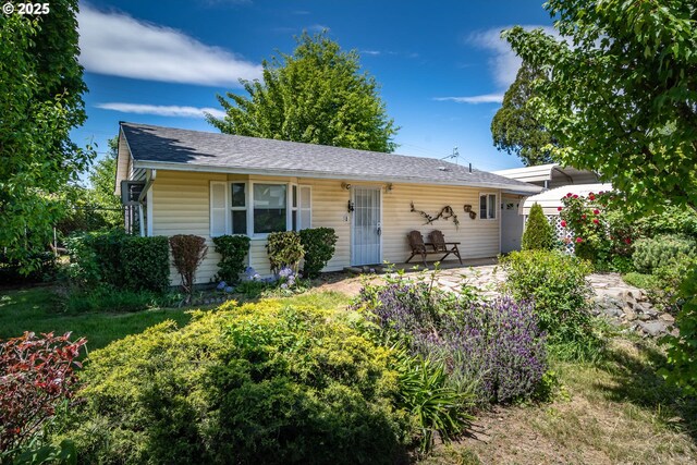 view of front of home featuring roof with shingles