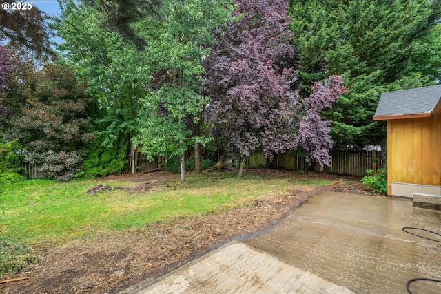 10406 NE 88th St, Vancouver, WA 98662 - view of yard with a patio area