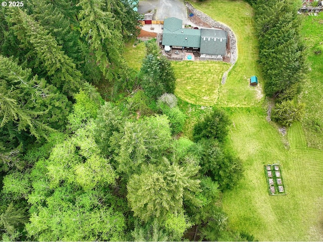 drone / aerial view