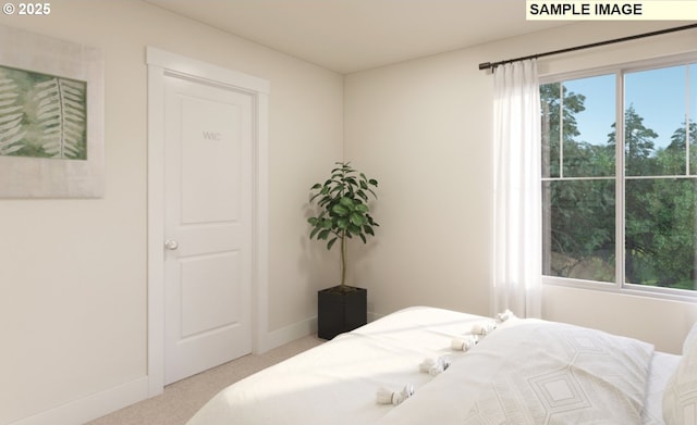 bedroom featuring baseboards, multiple windows, and carpet floors